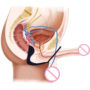 prodotti-piacere-anale-orgasmo-performance-erezione-migliorare-cock-ring-e-anale-butt-plug-massager-della-prostata