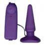 funky-vibrating-buttplug-purple